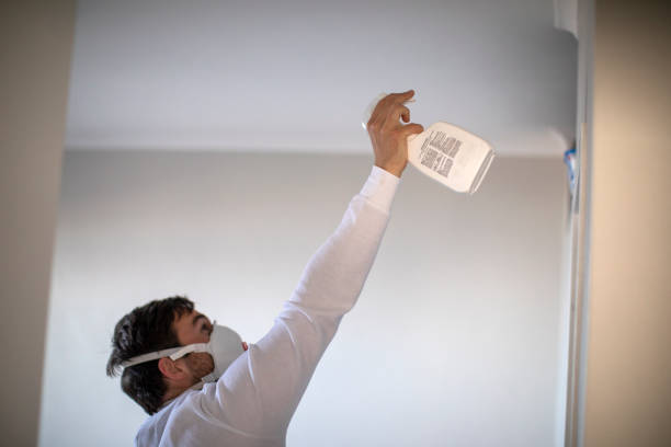 Best Mold Removal Company Near Me  in Berkeley Lake, GA