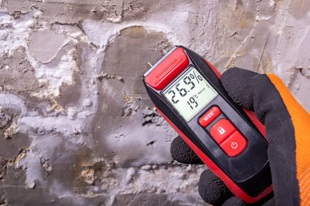 Best Residential Mold Removal  in Berkeley Lake, GA